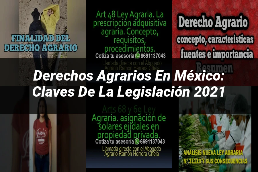 "Derechos Agrarios en México: Claves de la Legislación 2021"