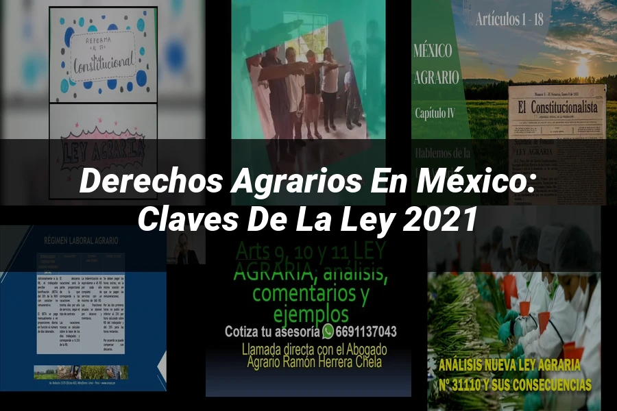 "Derechos Agrarios en México: Claves de la Ley 2021"