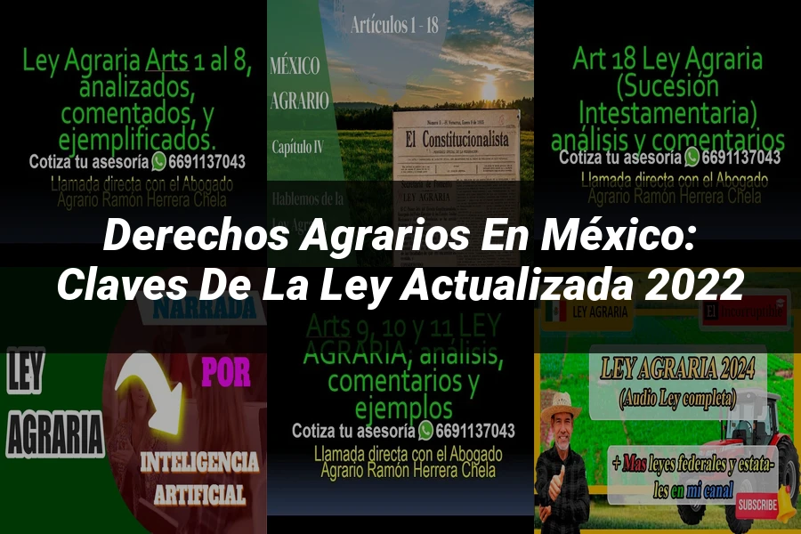 "Derechos Agrarios en México: Claves de la Ley Actualizada 2022"