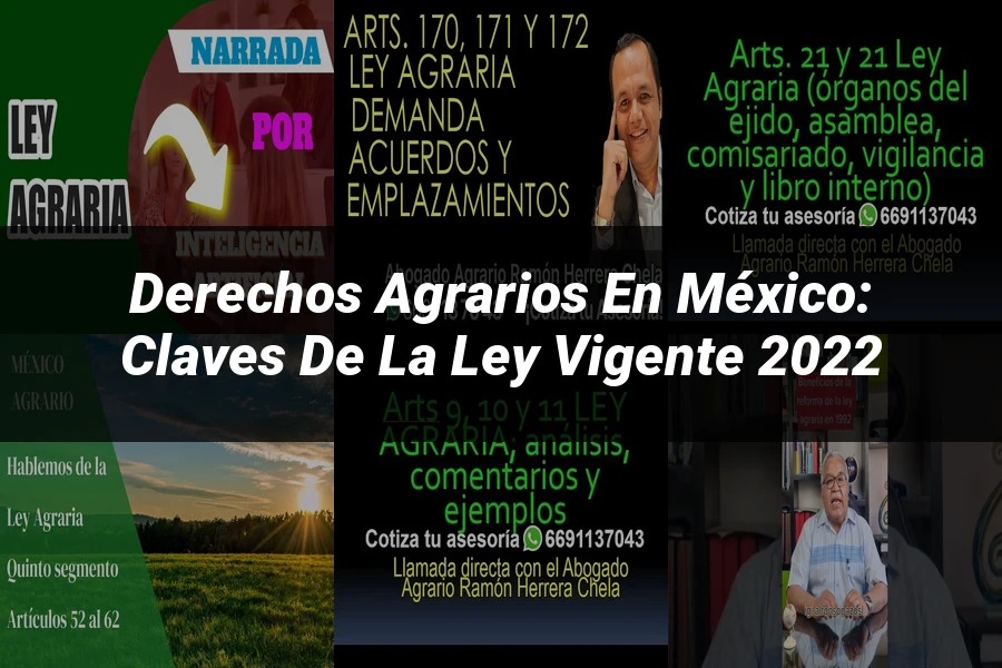 "Derechos Agrarios en México: Claves de la Ley Vigente 2022"