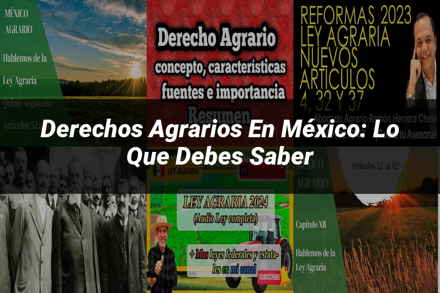 "Derechos Agrarios en México: Lo que Debes Saber"