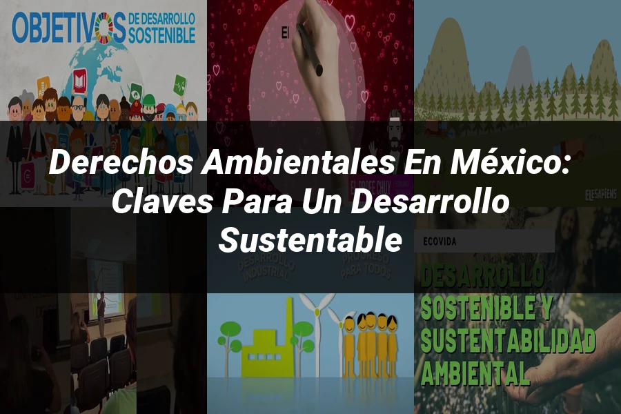 "Derechos Ambientales en México: Claves para un Desarrollo Sustentable"