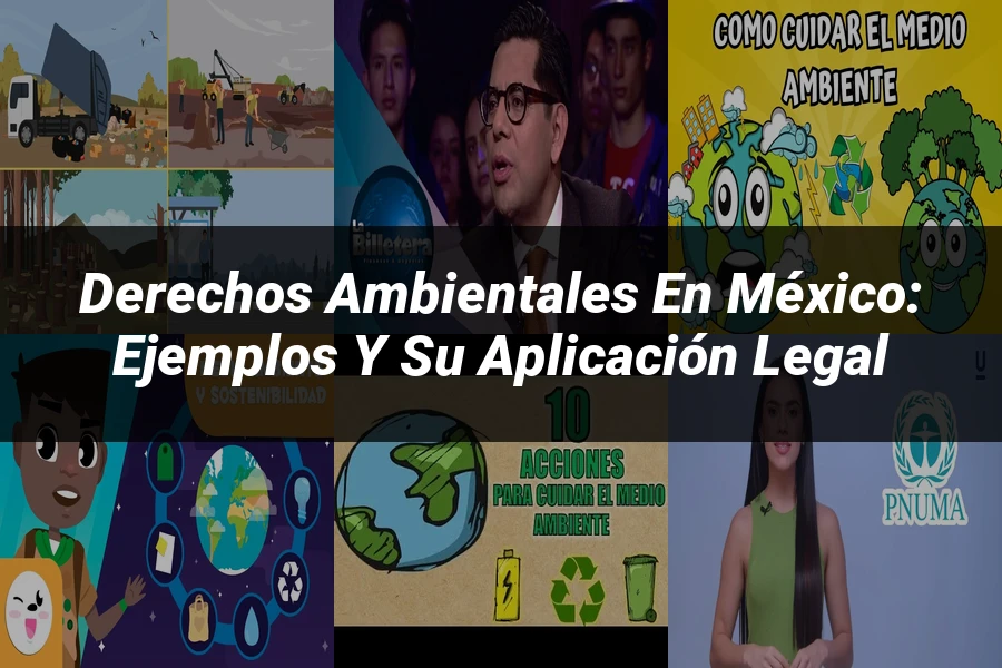 "Derechos Ambientales en México: Ejemplos y Su Aplicación Legal"