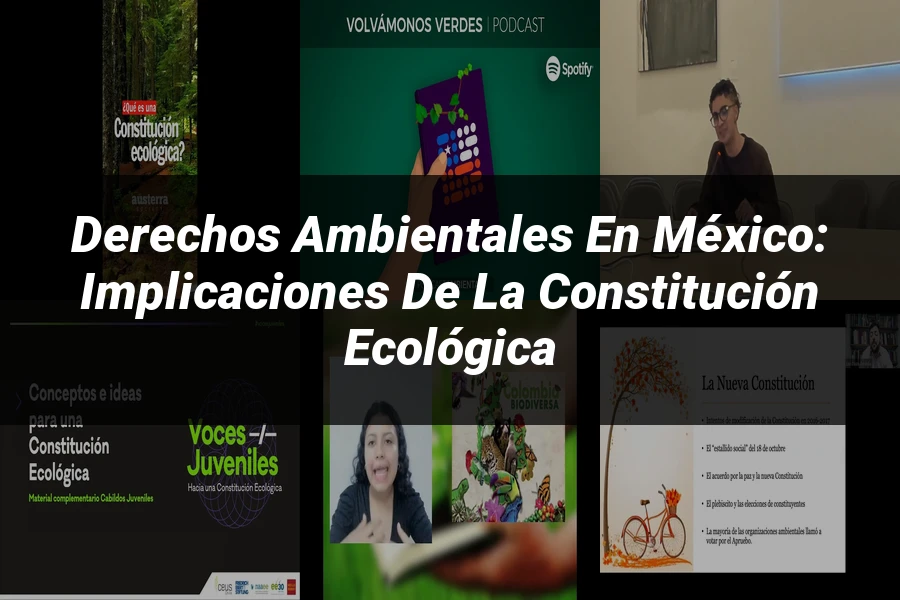 "Derechos Ambientales en México: Implicaciones de la Constitución Ecológica"