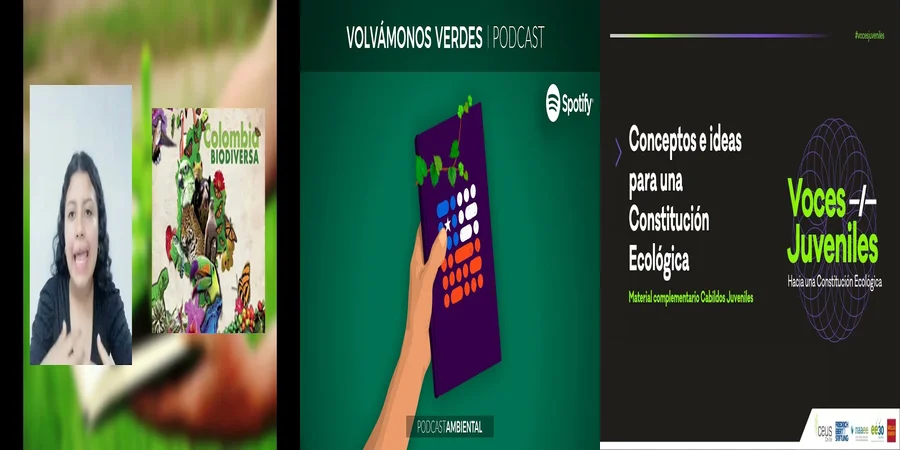 "Derechos Ambientales en México: Implicaciones de la Constitución Ecológica"