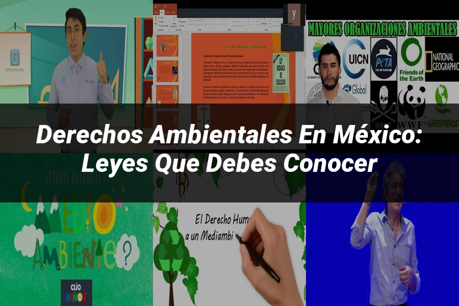 "Derechos Ambientales en México: Leyes que Debes Conocer"