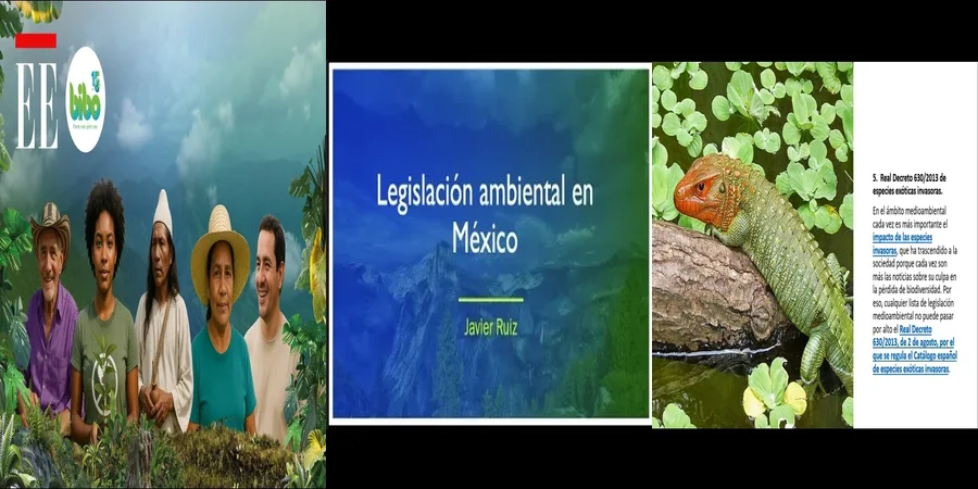 "Derechos Ambientales en México: Lo Que Debes Conocer Legalmente"