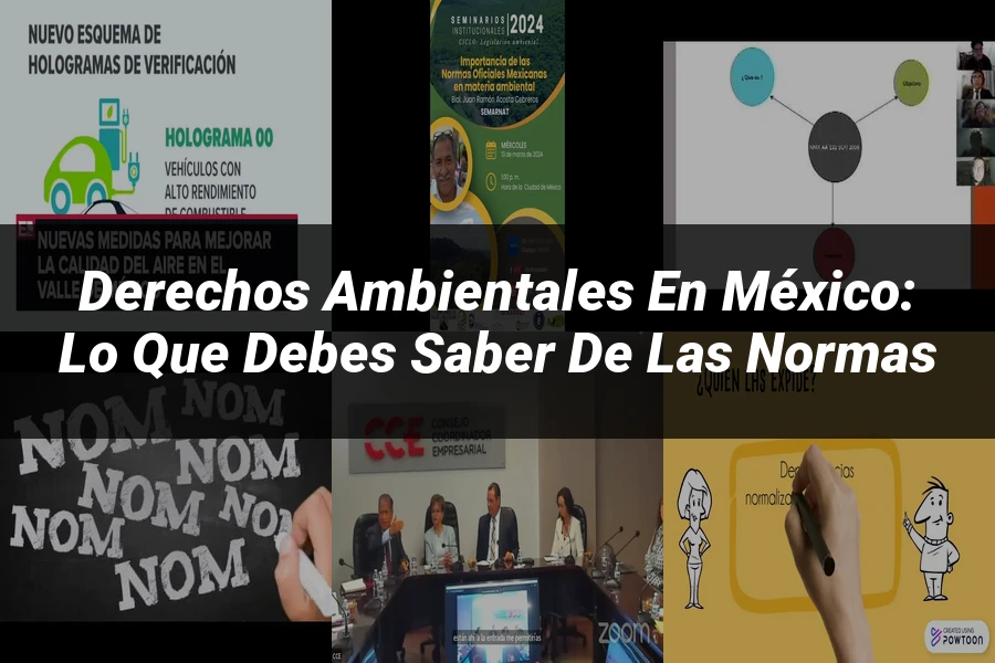 "Derechos Ambientales en México: Lo Que Debes Saber de las Normas"