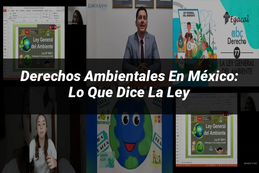 "Derechos Ambientales en México: Lo Que Dice la Ley"