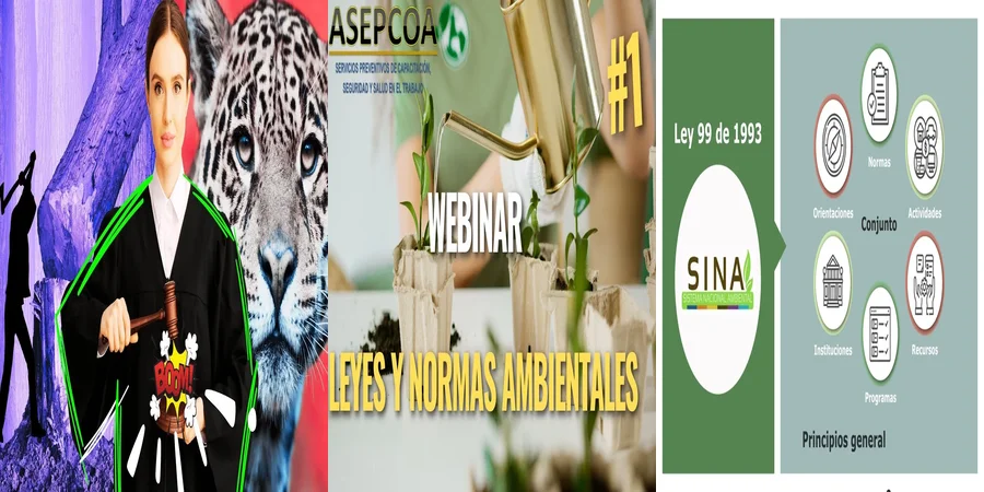 "Derechos Ambientales en México: Lo que Debes Conocer Hoy"