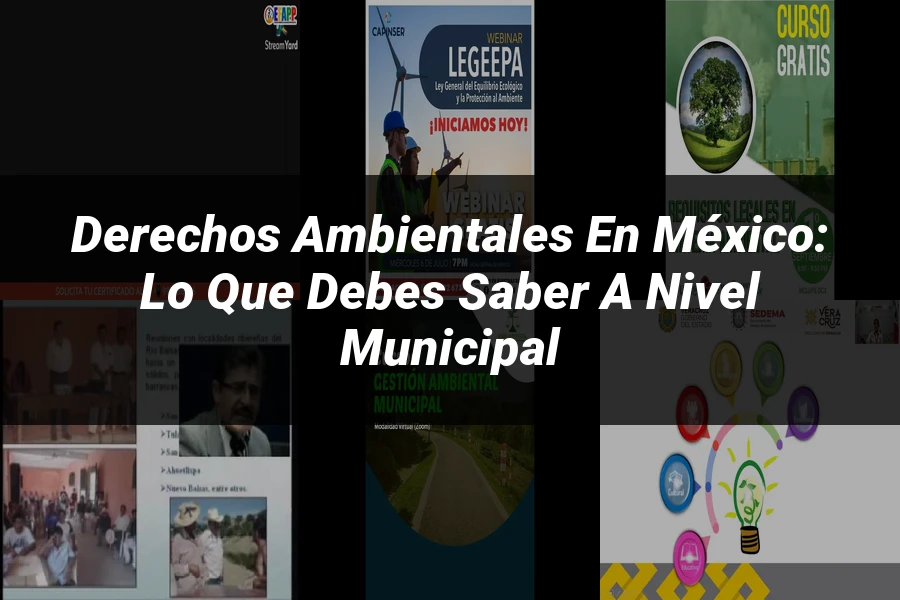 "Derechos Ambientales en México: Lo que Debes Saber a Nivel Municipal"