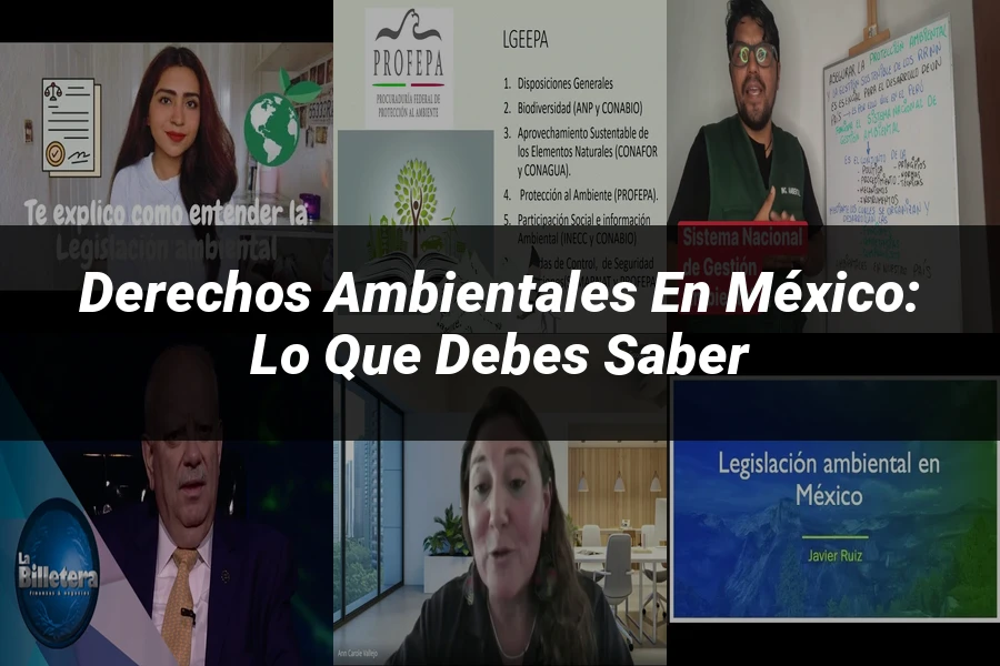 "Derechos Ambientales en México: Lo que Debes Saber"