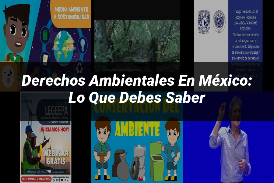"Derechos Ambientales en México: Lo que Debes Saber"