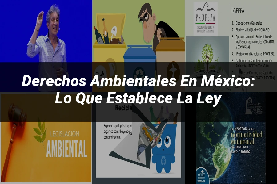 "Derechos Ambientales en México: Lo que Establece la Ley"