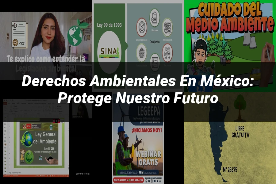 "Derechos Ambientales en México: Protege Nuestro Futuro"