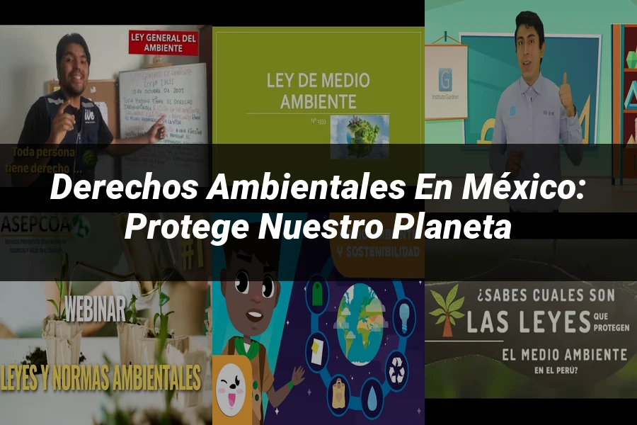 "Derechos Ambientales en México: Protege Nuestro Planeta"