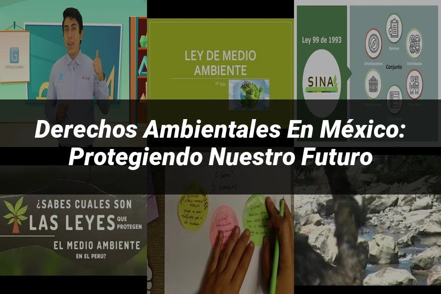 "Derechos Ambientales en México: Protegiendo Nuestro Futuro"