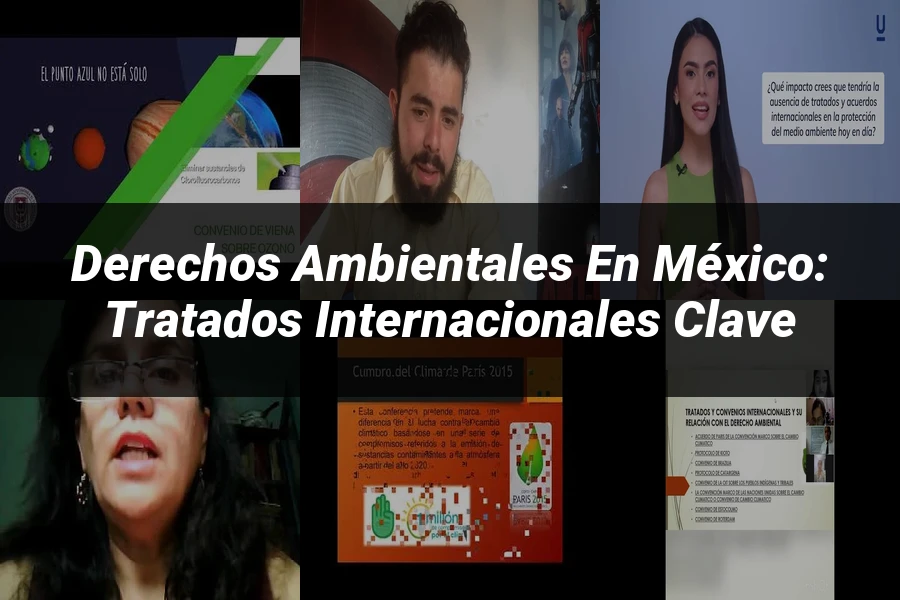 "Derechos Ambientales en México: Tratados Internacionales Clave"