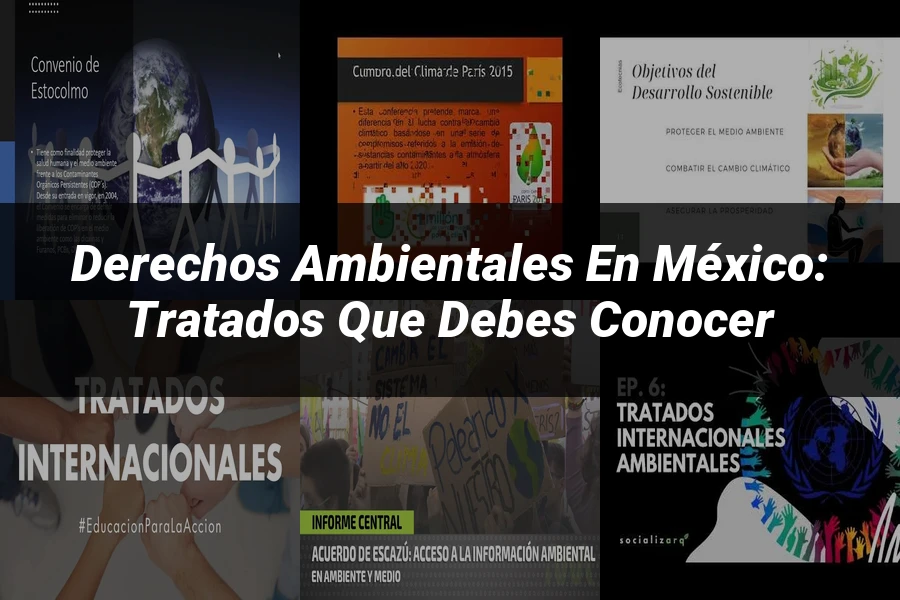 "Derechos Ambientales en México: Tratados que Debes Conocer"