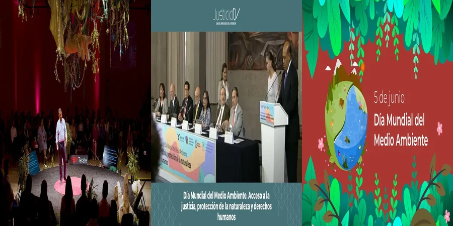 "Derechos Ambientales en México: Tu Guía Legal para Actuar"