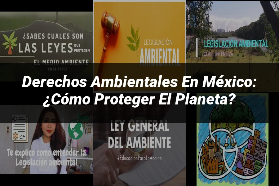 "Derechos Ambientales en México: ¿Cómo Proteger el Planeta?"