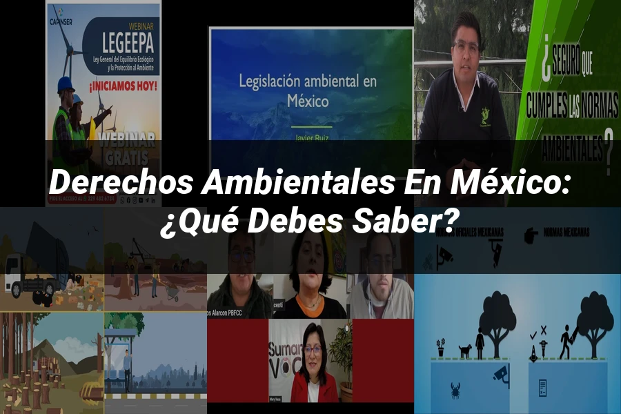 "Derechos Ambientales en México: ¿Qué Debes Saber?"
