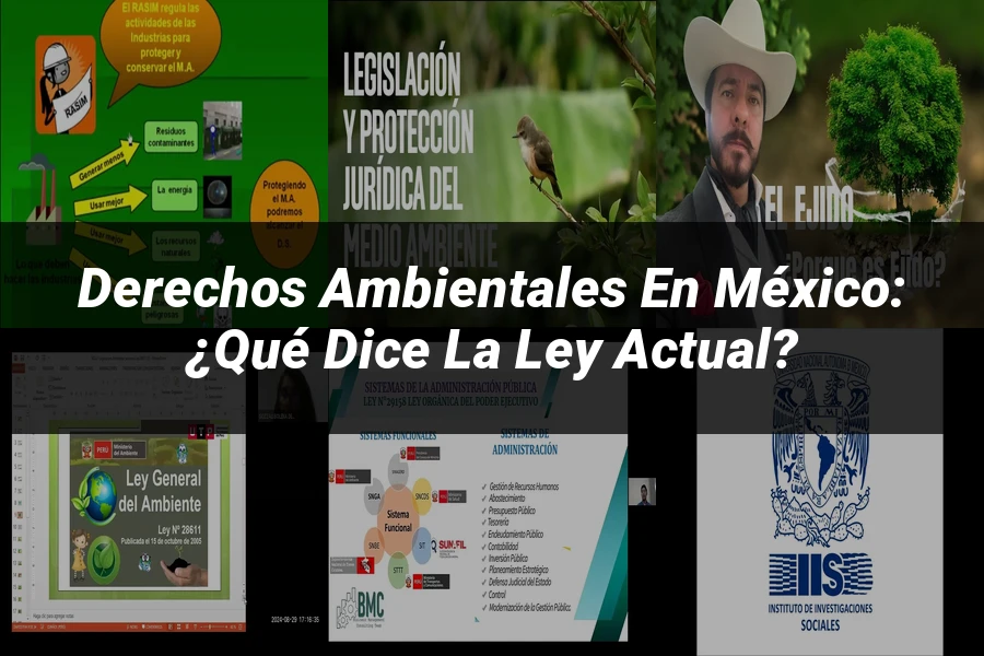 "Derechos Ambientales en México: ¿Qué Dice la Ley Actual?"