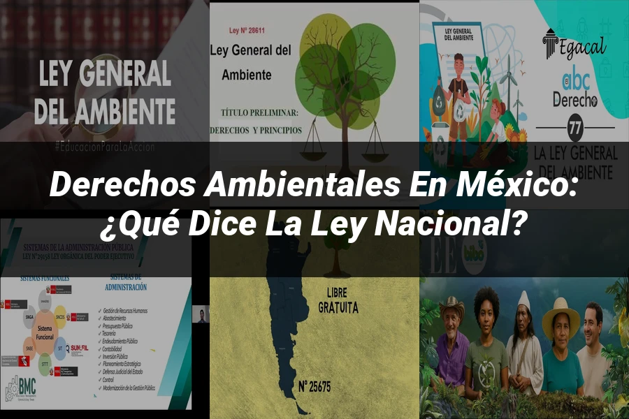 "Derechos Ambientales en México: ¿Qué Dice la Ley Nacional?"