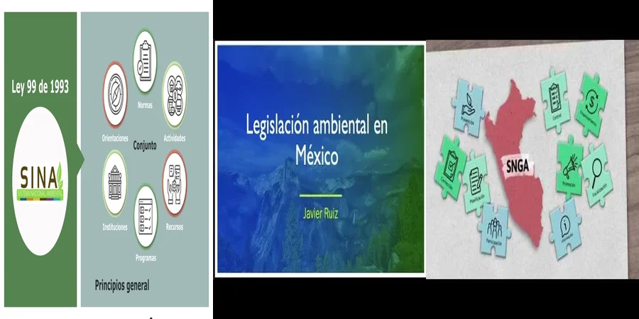 "Derechos Ambientales en México: ¿Qué Dice la Ley Nacional?"