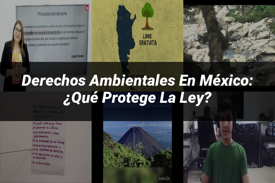 "Derechos Ambientales en México: ¿Qué Protege la Ley?"