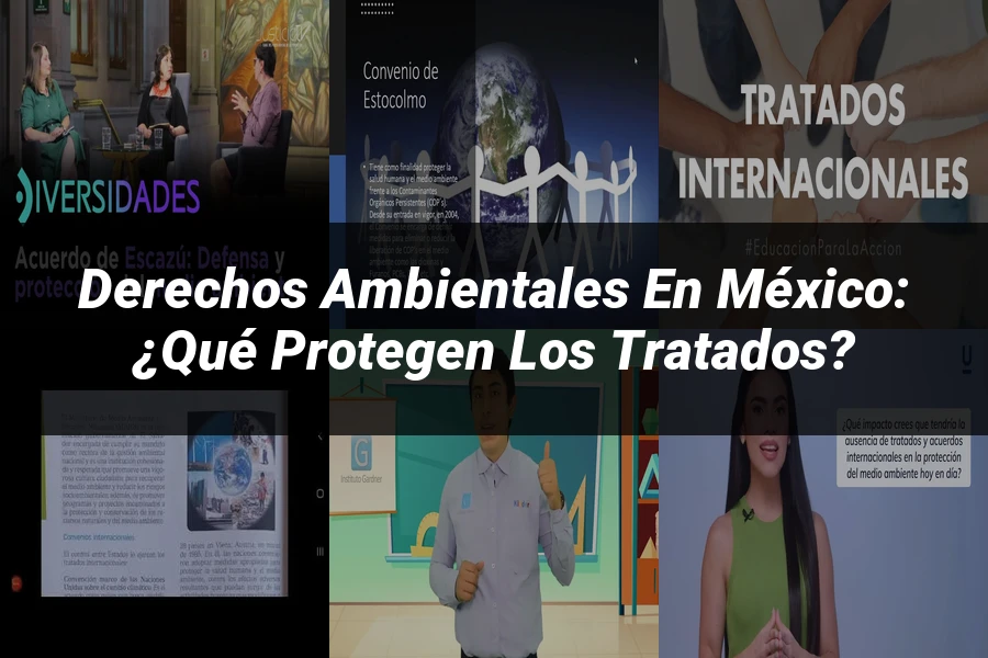 "Derechos Ambientales en México: ¿Qué Protegen los Tratados?"
