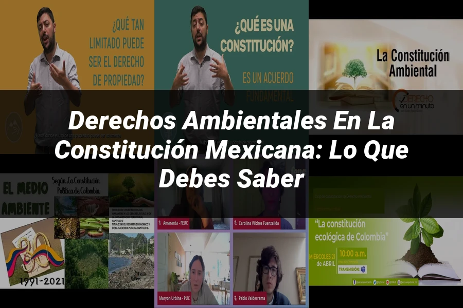 "Derechos Ambientales en la Constitución Mexicana: Lo Que Debes Saber"