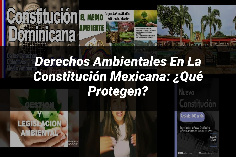 "Derechos Ambientales en la Constitución Mexicana: ¿Qué Protegen?"