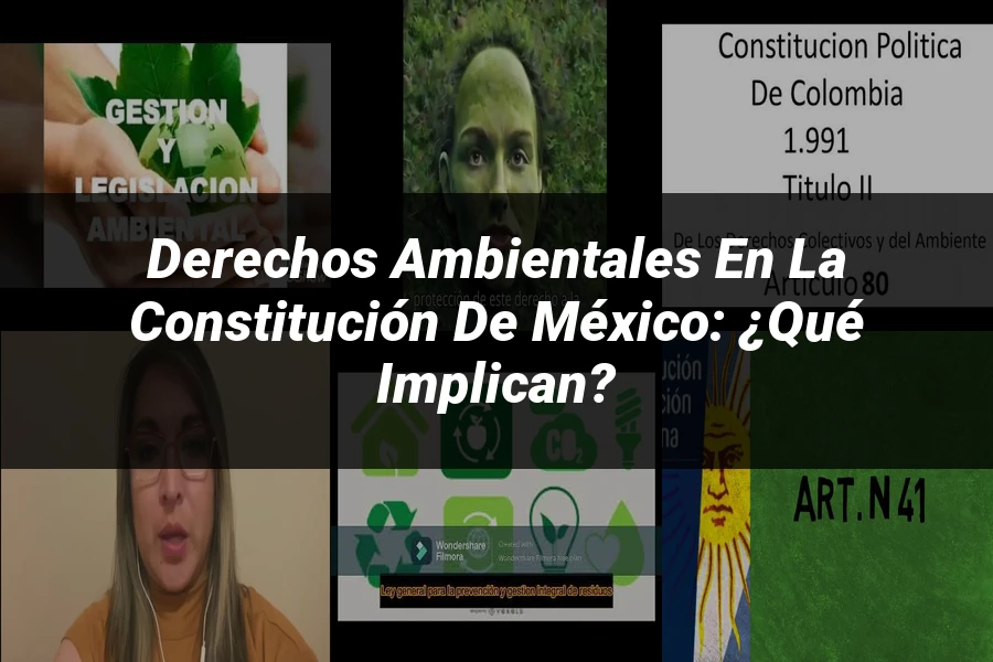 "Derechos Ambientales en la Constitución de México: ¿Qué Implican?"