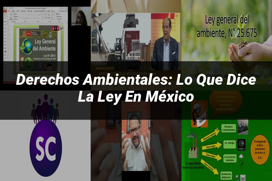 "Derechos Ambientales: Lo Que Dice la Ley en México"