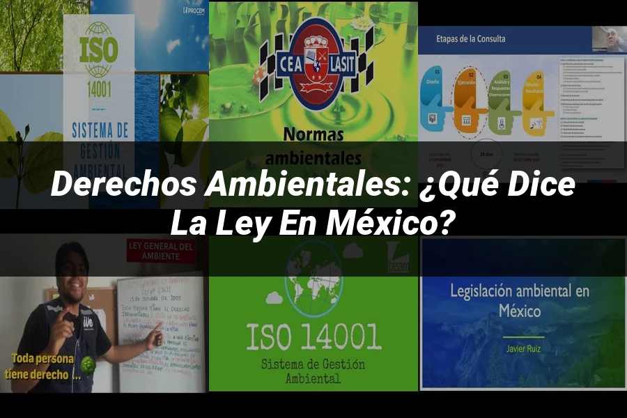"Derechos Ambientales: ¿Qué Dice la Ley en México?"