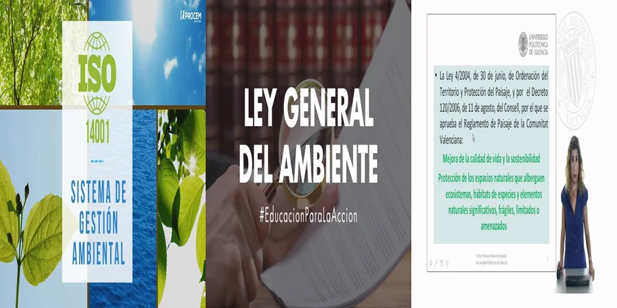 "Derechos Ambientales: ¿Qué Dice la Ley en México?"