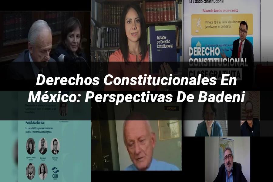 "Derechos Constitucionales en México: Perspectivas de Badeni"