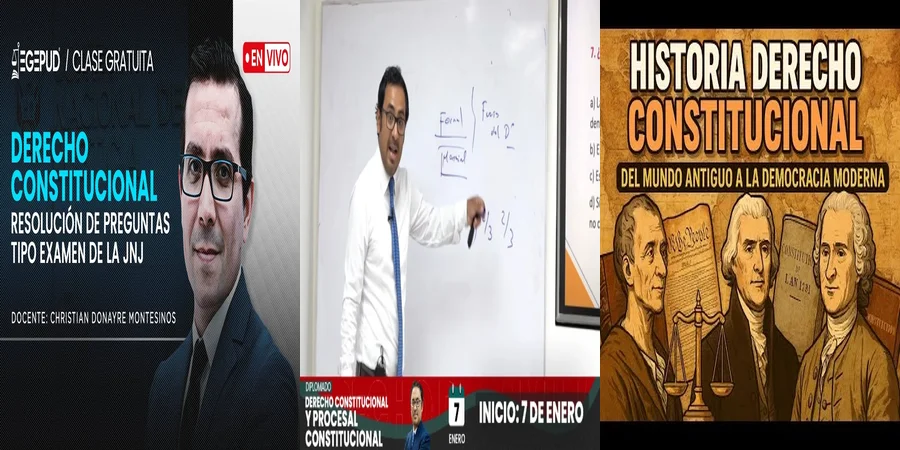"Derechos Constitucionales en México: Perspectivas de Badeni"