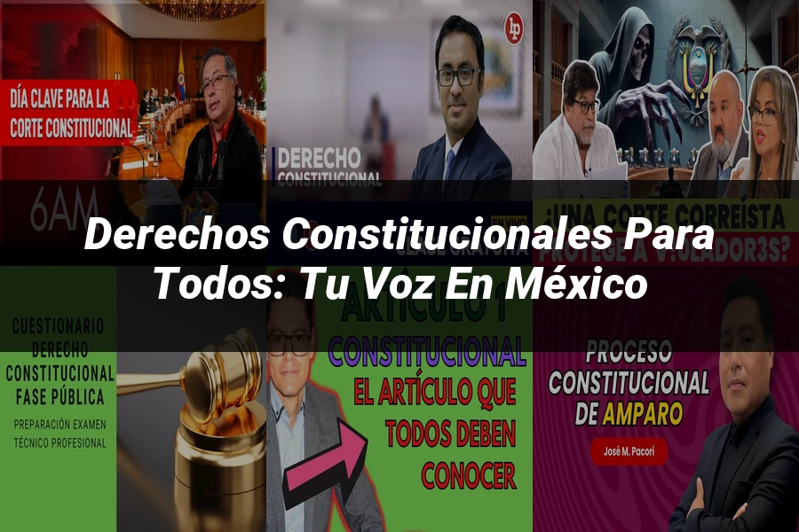 "Derechos Constitucionales para Todos: Tu Voz en México"