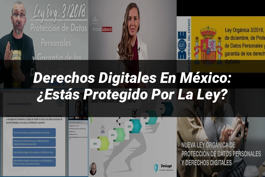"Derechos Digitales en México: ¿Estás Protegido por la Ley?"
