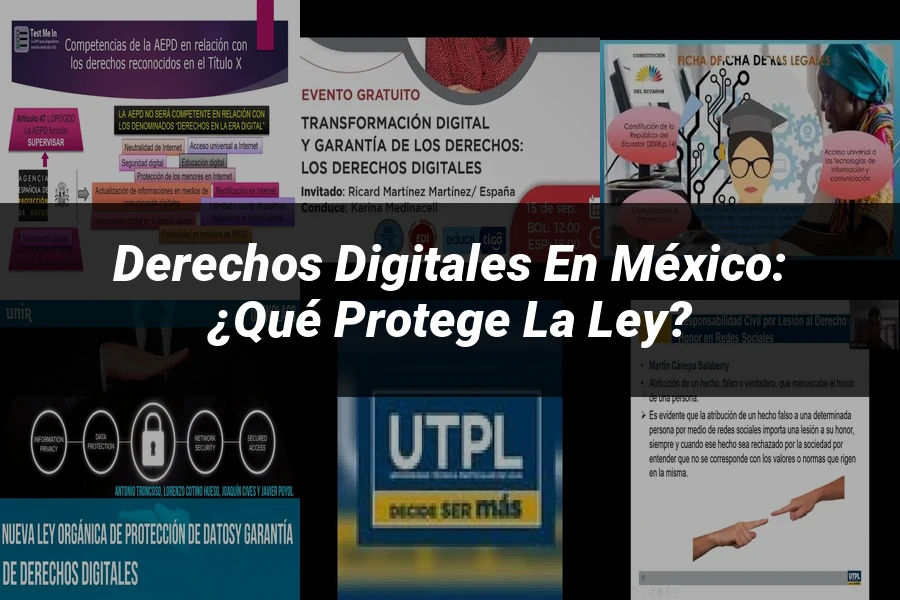 "Derechos Digitales en México: ¿Qué Protege la Ley?"