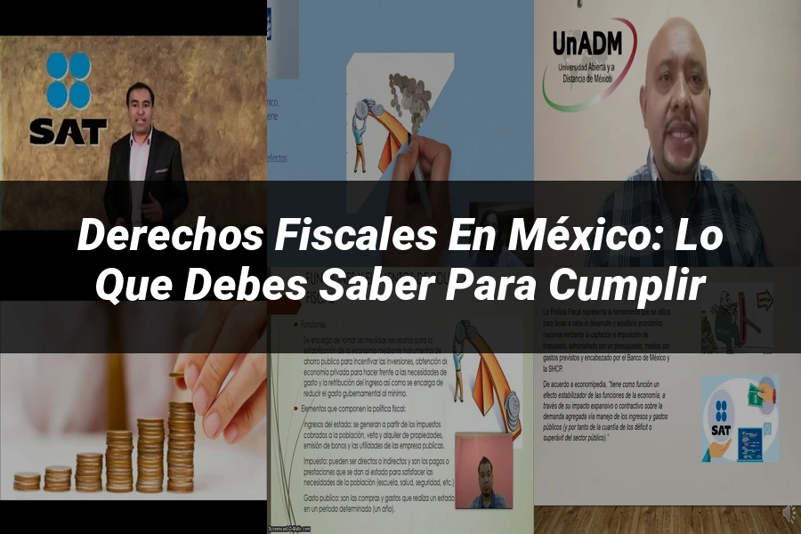 "Derechos Fiscales en México: Lo que Debes Saber para Cumplir"