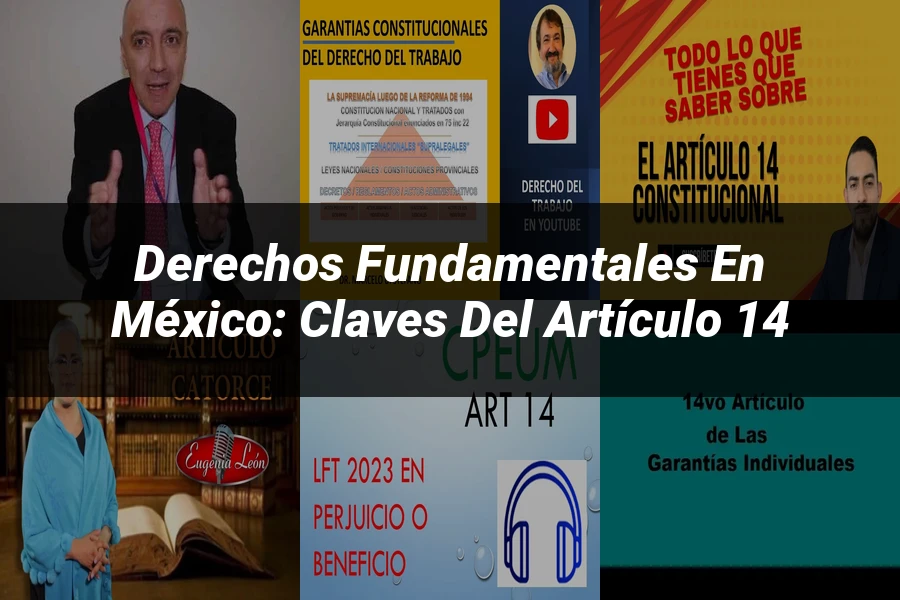 "Derechos Fundamentales en México: Claves del Artículo 14"