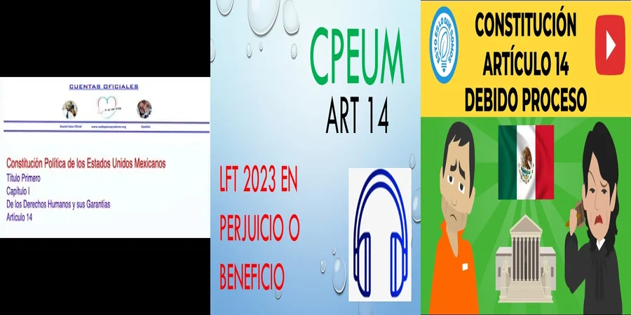 "Derechos Fundamentales en México: Claves del Artículo 14"