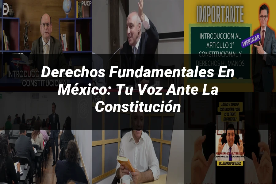 "Derechos Fundamentales en México: Tu Voz ante la Constitución"