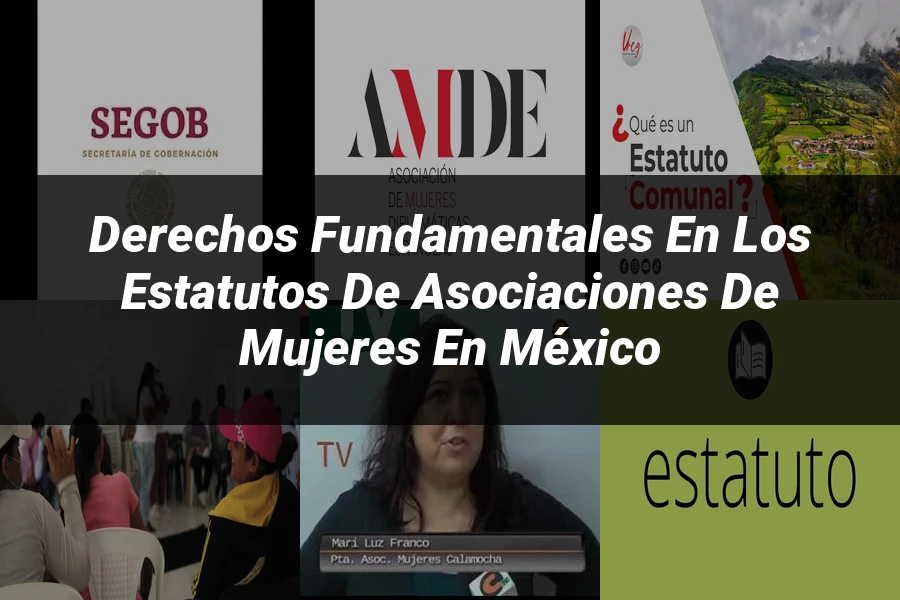 "Derechos Fundamentales en los Estatutos de Asociaciones de Mujeres en México"