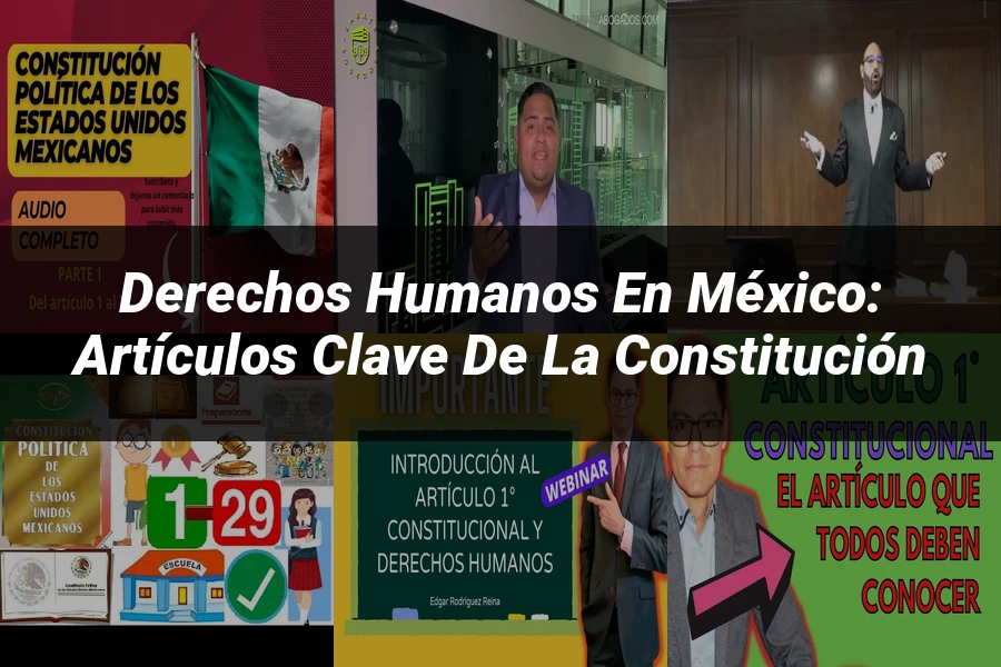 "Derechos Humanos en México: Artículos Clave de la Constitución"