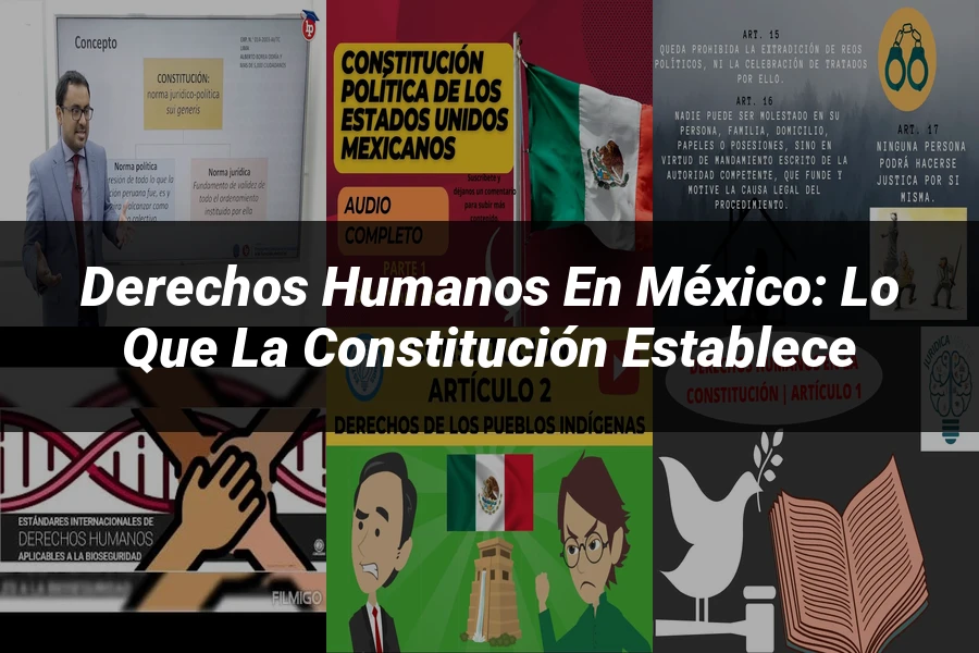 "Derechos Humanos en México: Lo que la Constitución Establece"