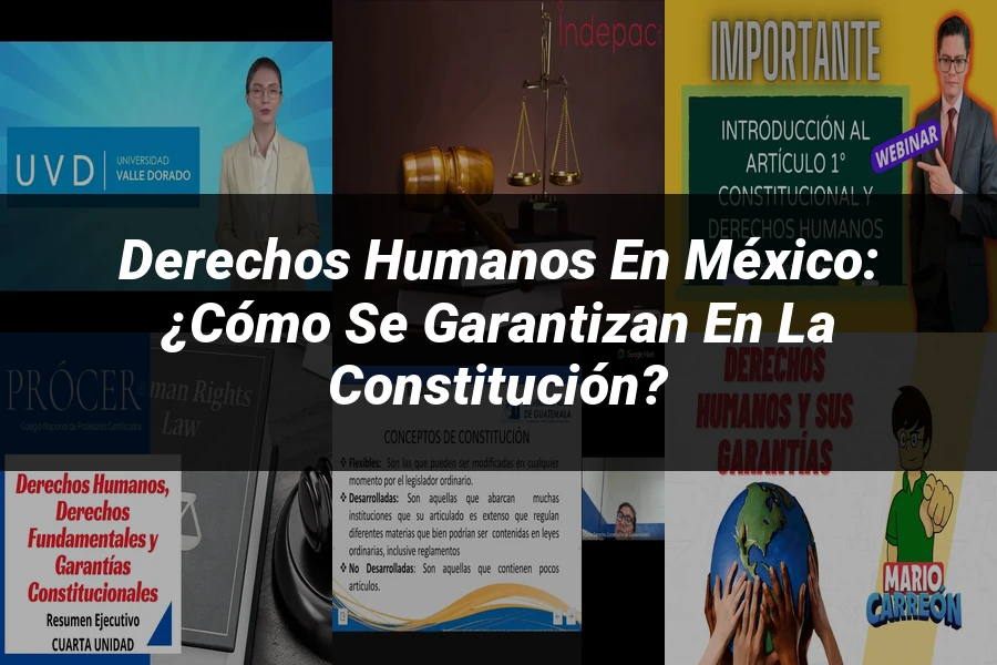"Derechos Humanos en México: ¿Cómo se Garantizan en la Constitución?"